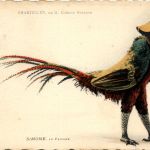 Chantecler de M. Edmond Rostand