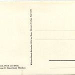 Wilhelm Busch - Plisch und Plum