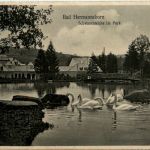 Bad Hermannsborn, Schwanenteiche im Park