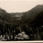 Kartitsch, Waldruhe