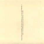 Lienz, Ausgrabungen der Römerstadt Aguntum