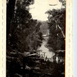 Australia Fairyland - The Bush