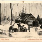 Boiling Maple sugar in the woods - Canada