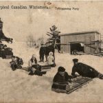 Tobogganing