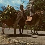 Leogane Haiti