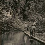 Guadeloupe - Le Bassin des Bains Jaunes