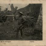 Tahiti - Retour de la montagne