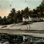 Tahiti - Coral Island