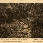 Tahiti - Gorges de la Fautaua