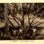 Casa indigene a Tantira