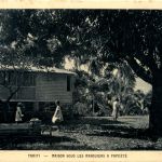 Tahiti - Maison sous les Manouires a Papeete