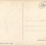 Siena - Bue della campagna senese