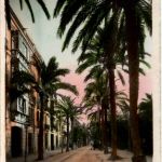 Valencia - Paseo de las Palmeres