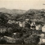 Malaga - Paseo del Limonar