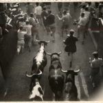 Pamplona - Toros