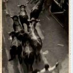 Pamplona - Toros