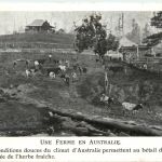 Une Ferme en Australie