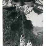 Fidji - Missions des Peres Maristes en Oceanie