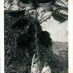 Fidji - Missions des Peres Maristes en Oceanie