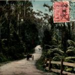 Australia - Bulli Pass