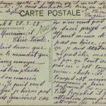 Beyrouth - Chameaux de Transportnite