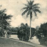 Singapore - Botanic Gardens