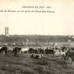 Colonne de Fez