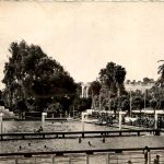 Meknes - La Piscine