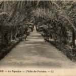 Fez - La Peptniere