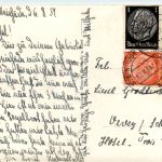 Steinhuder Meer, div. Bilder