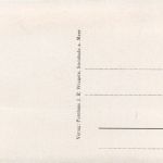 Steinhuder Meer, Blick