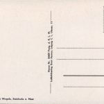 Steinhude a. Meer, Fliegeraufnahme