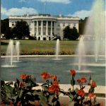 Washington DC - White House