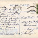 Washington DC - Japanese Cherry Blossom