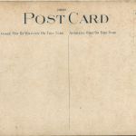 Texarkana - Cotton Compress