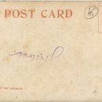 Los Angeles - Oil Well in Every Yard