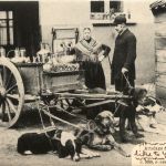 Attelage de chiens flamand - Hundekarren