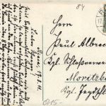 Riesa - Rathaus mit Klosterkirche