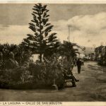 Tenerife - La Laguna