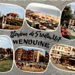 Wenduine
