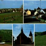 Arzfeld