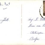 The Pyramids of Giza