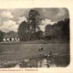 Friedrichsruh - Hupfermühle Sachsenwald