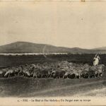 Fez - Le Blad et Dar Mahres