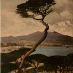 Centa - Paisaje del monte Hacho