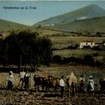 Las Palmas - Campesinos en la Trilla