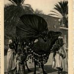 Biskra - Un Basour
