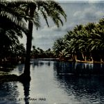 Irak - The Palm Trees at Basrah