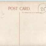 Jersey - Needle Rock