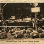 Togo - Exposition agricole de Palime